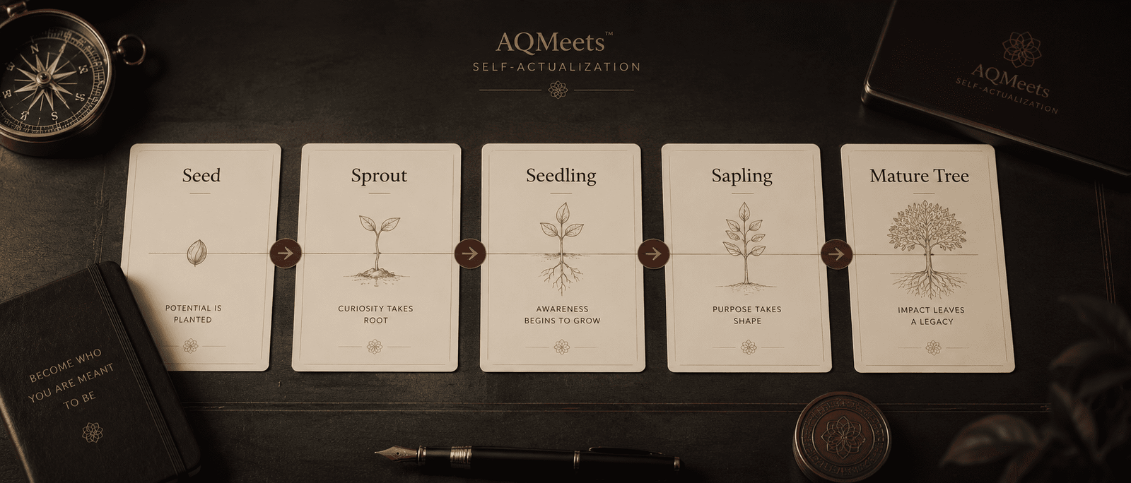 Premium five-stage leadership formation map. Five cards across a dark table: Seed, Sprout, Seedling, Sapling, Mature Tree. Gold line runs through all stages; burgundy markers show